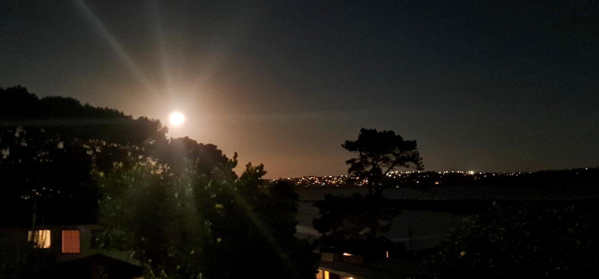 Auckland Sea&Skytower View Homestay With Free Netflix, Parking Dış mekan fotoğraf